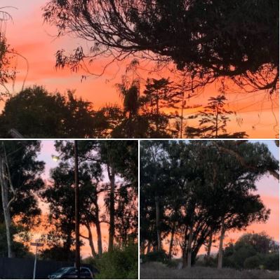 Sunset on Tuesday 2020/11/17: Photographed from Isla Vista and UCSB West Campus (batch 1)