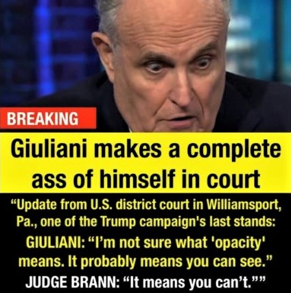 Meme: Rudi Giuliani makes an ass of himself in court