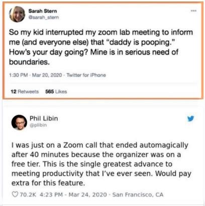 Funny tweets about Zoom meetings