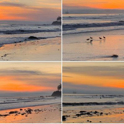 Photos from yesterday's late afternoon walk along the beach in Isla Vista, California: Batch 4