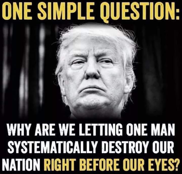 Meme: Why are we letting one man (Trump) systematically destroy our nation right before our eyes?