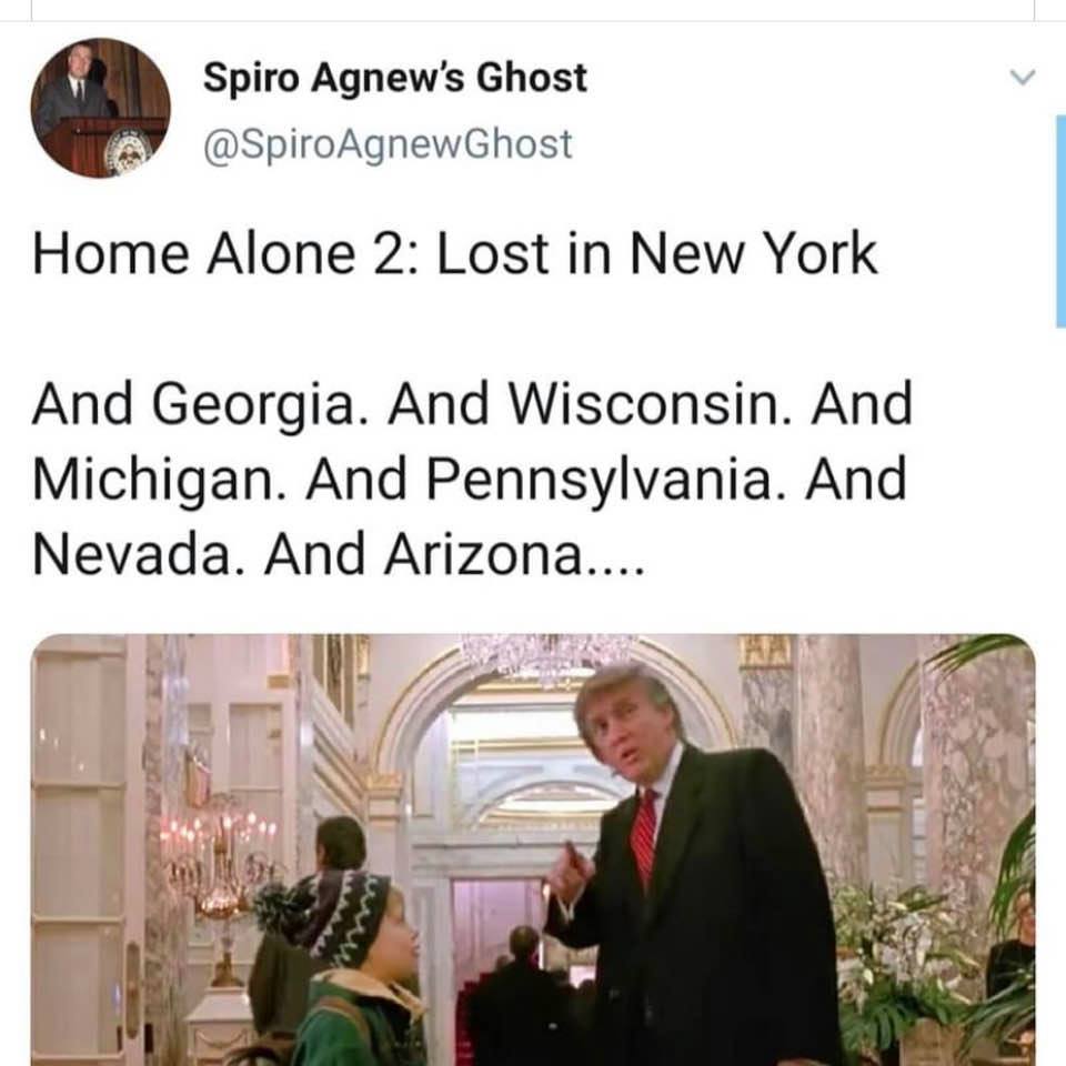 Tweet: 'Home Alone 2: Lost in New York ... And Georgia. And Wisconsin. And Michigan. And Pennsylvania. And Nevada. And Arizona. ...'