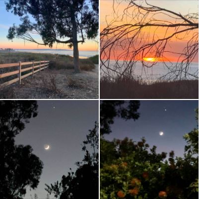 People, trees, the sun, and the moon: Shot last evening from the Ellwood Bluffs and UCSB West Campus: Batch 1