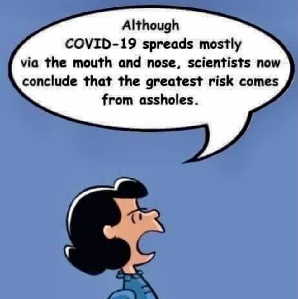 Cartoon: COVID-19 is not spread by mouths and noses, but by assholes!