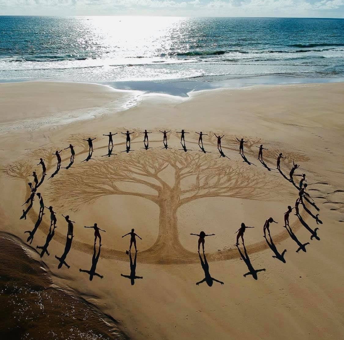 Circle of humans around the image of a tree, drawn on a beach