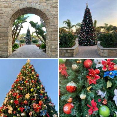 Holiday spirit at Goleta's Camino Real Marketplace: Community Christmas tree