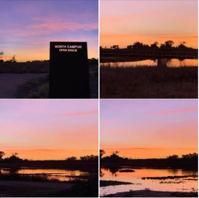 Sunset at UCSB's North Campus Open Space: Photos, Batch 1