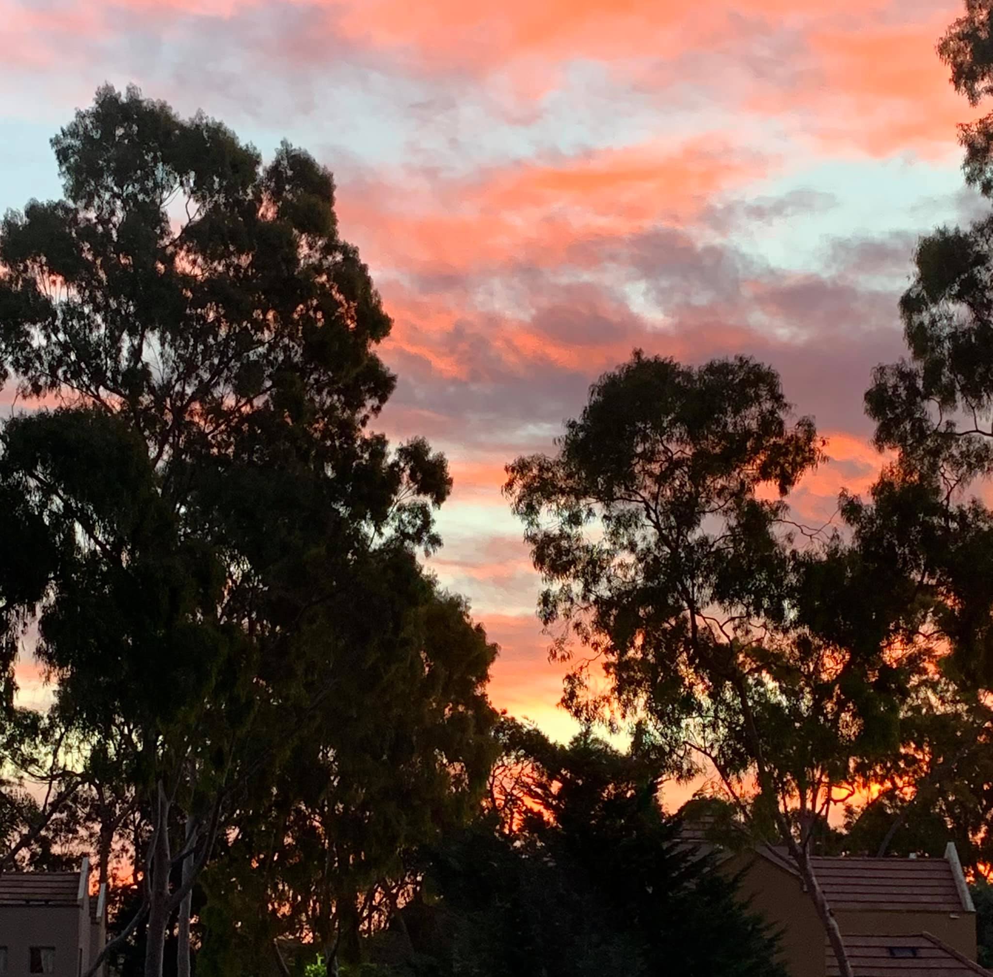 The first beautiful sunrise of 2021, as seen from my bedroom window early this morning