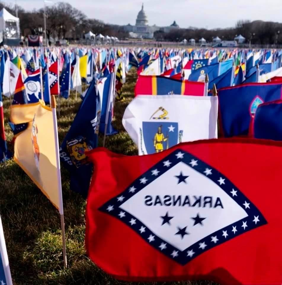 In lieu of a huge crowd, the DC National Mall was filled with 200,000 US, state, and territory flags