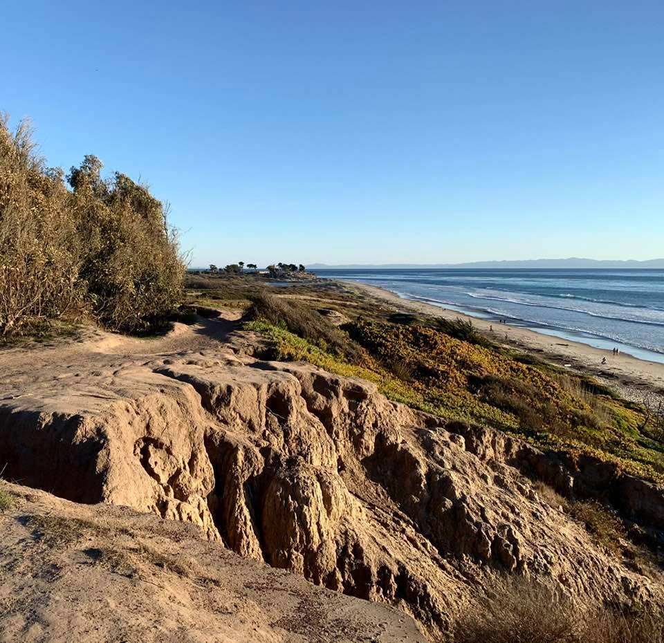 Wednesday 1/20 afternoon, on the majestic Elwood bluffs in Santa Barbara: Photo 3