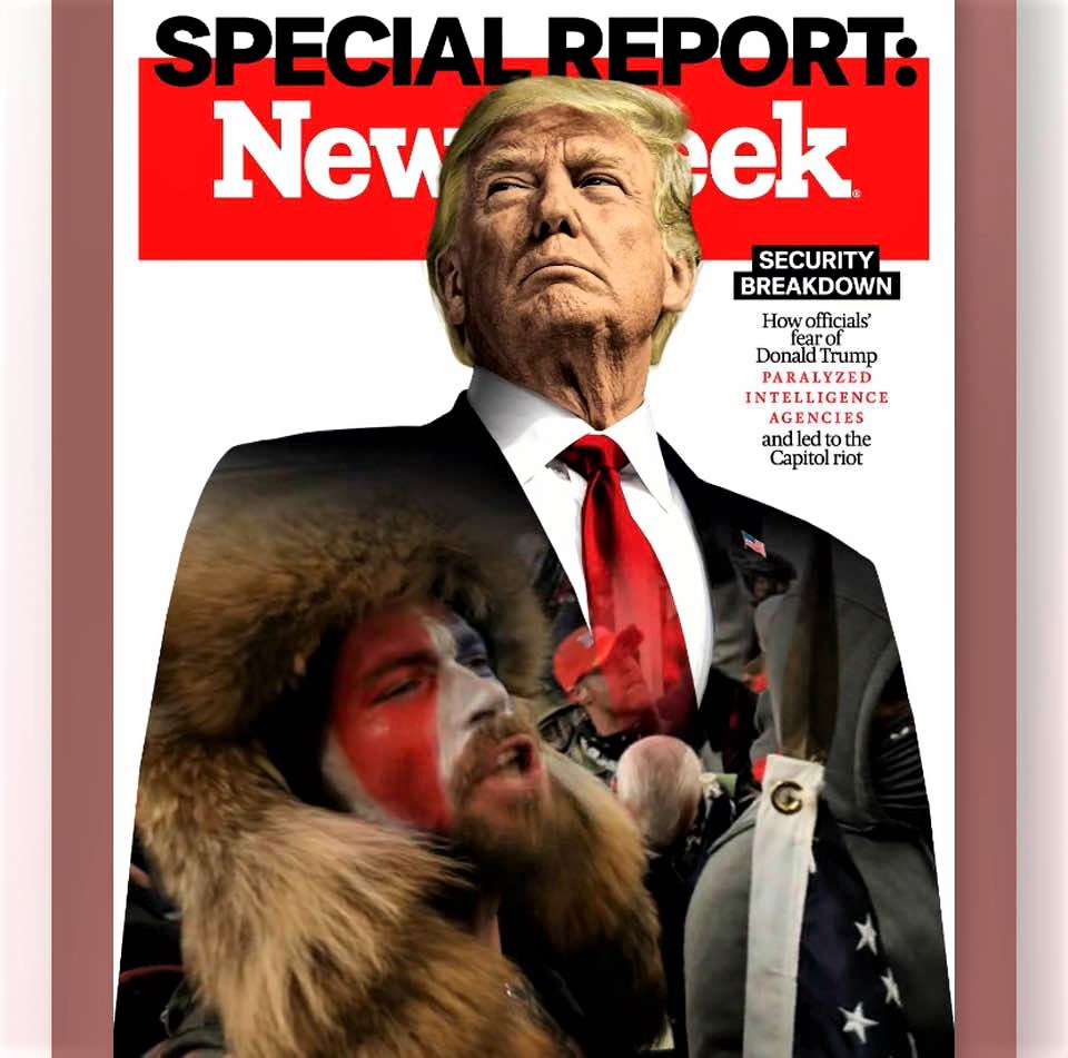 Cover image of Newsweek magazine