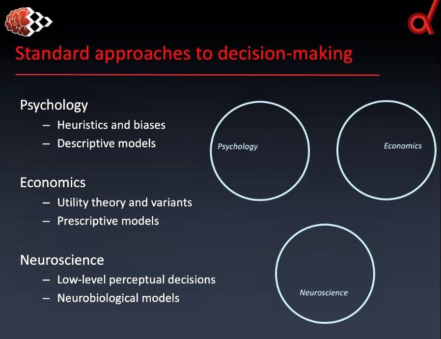 Webinar on social decision-making: Screenshot 1