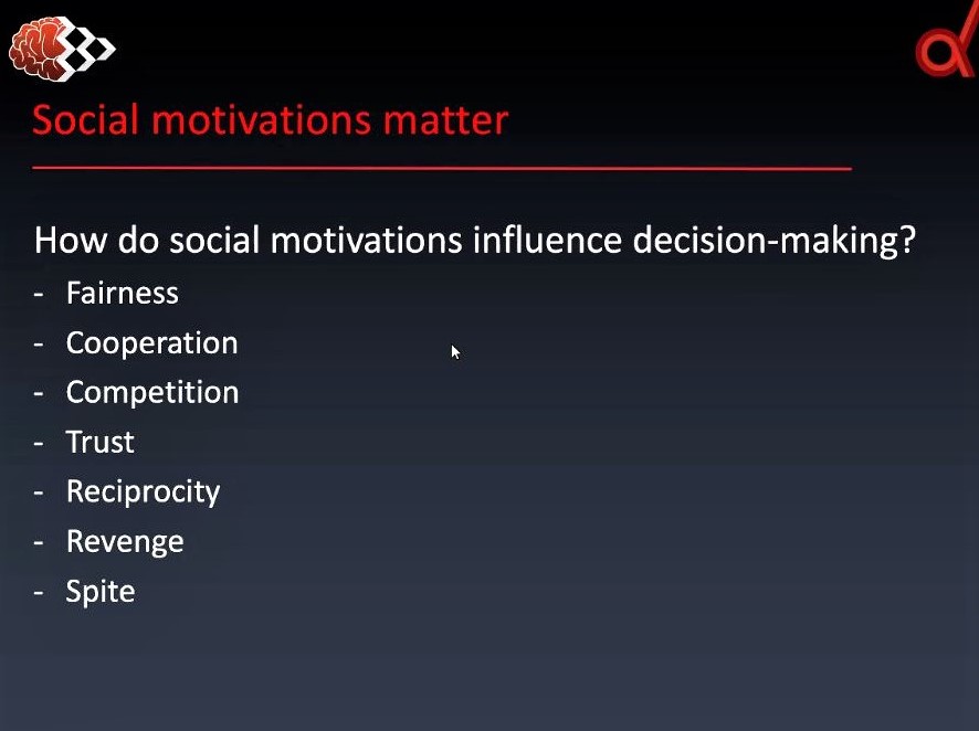Webinar on social decision-making: Screenshot 2