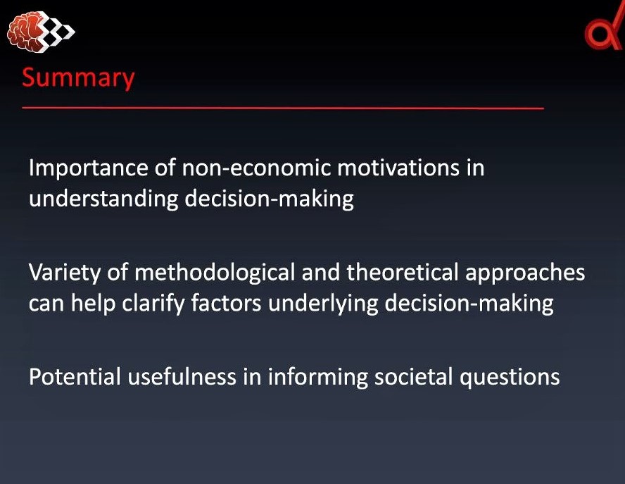 Webinar on social decision-making: Screenshot 3