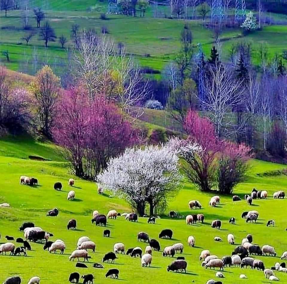 The beautiful nature of Talesh region, Guilan Province, Iran