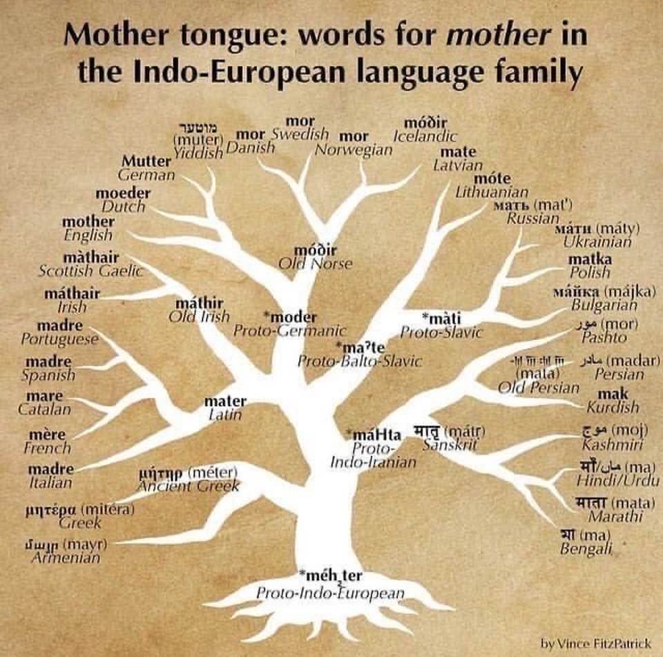 Linguistic roots of the word for 'mother' in Indo-European family of languages