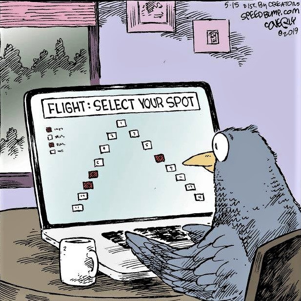 Cartoon: Bird selecting its spot in flight formation