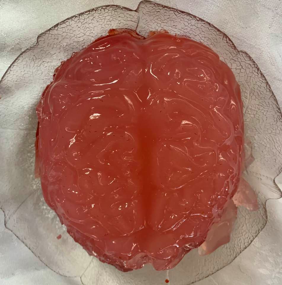 Brain-shaped jello, made by my daughter, our family's very own neuroscientist!