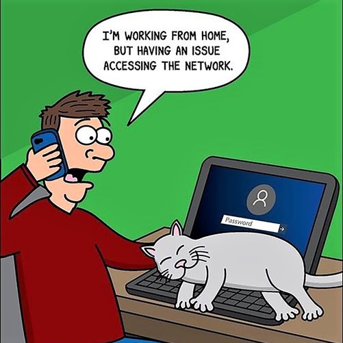 Cartoon: 'I'm working from home, but having an issue accessing the network'