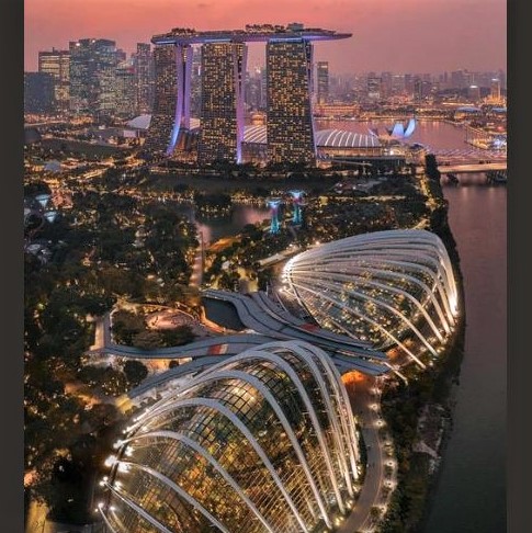 Singapore in the evening: 'Gardens by the Bay' in front; Marina Bay Sands resort/casino in the back 