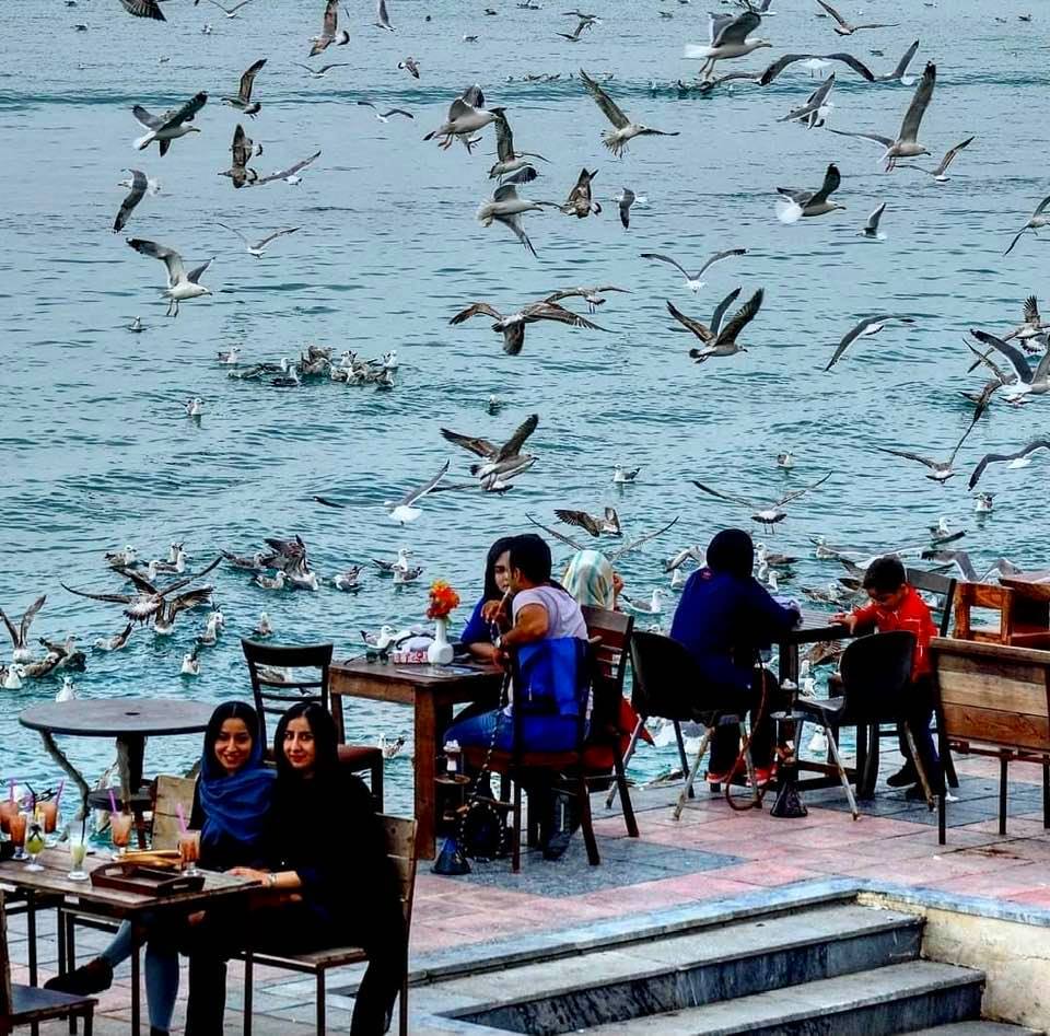 Dining by the Persian Gulf in Bushehr, southern Iran