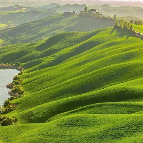 Definitely worth preserving: Beautiful green hills