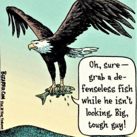 Cartoon: To mock a killing bird