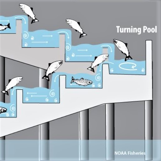 Fish ladder: Diagram
