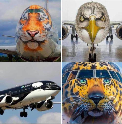 Creative painting of airplanes: Set 2 of photos