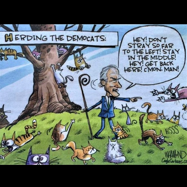 Cartoon: Biden's challenging task of herding the Democrats!