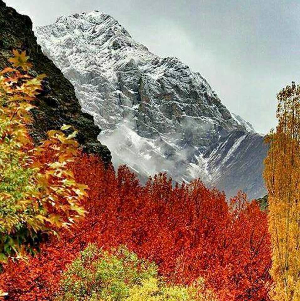 Fall and winter colors appearing in one frame