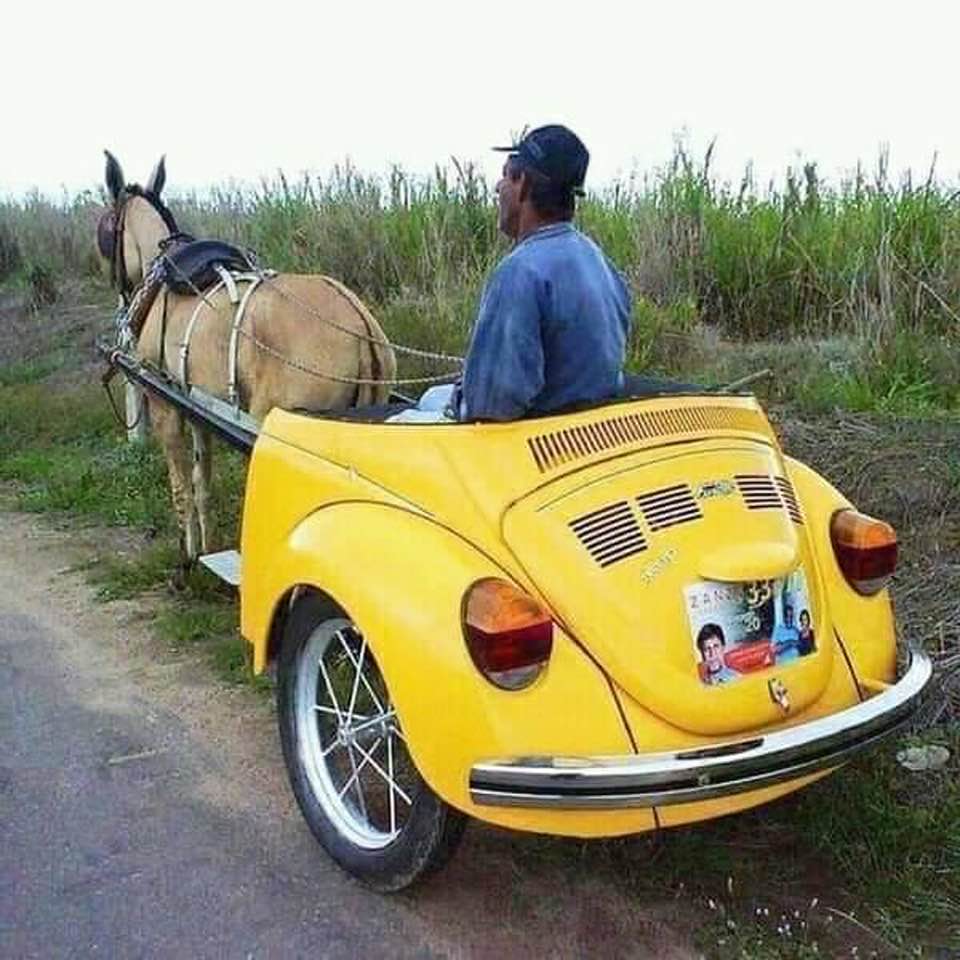 Hybrid rural transport!