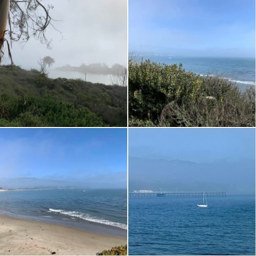 The foggy lagoon and ocean have their charms, but I awaited the Sun's coming out, as I walked on campus during today's lunch break