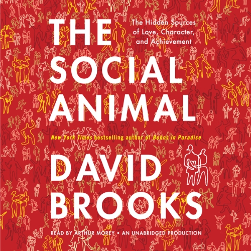Cover image of David Brooks' book 'The Social Animal'