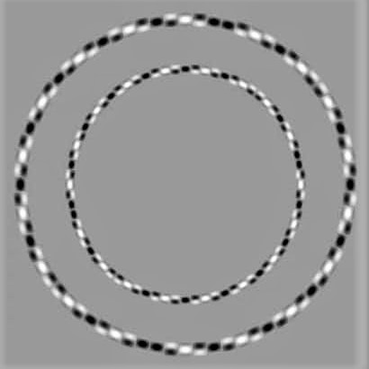 Optical illusion: Circles?