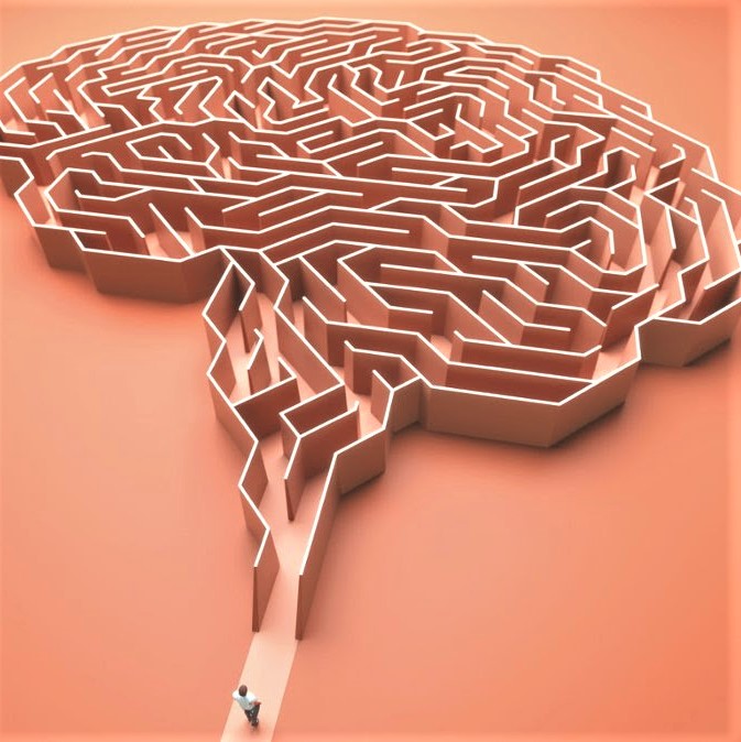 The human brain as a maze to be explored