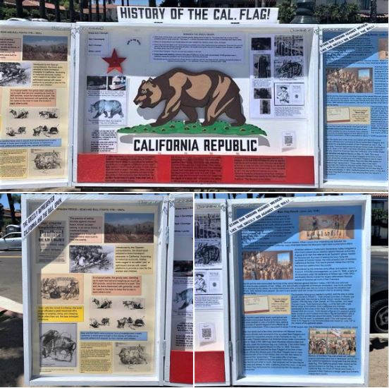 History of the California flag