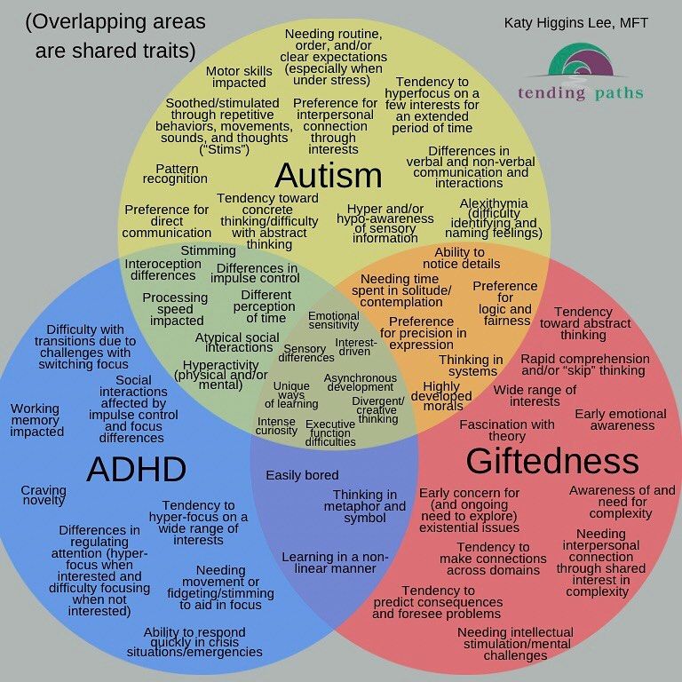 Venn diagram: Overlapping traits among Autism, ADHD, and Giftedness