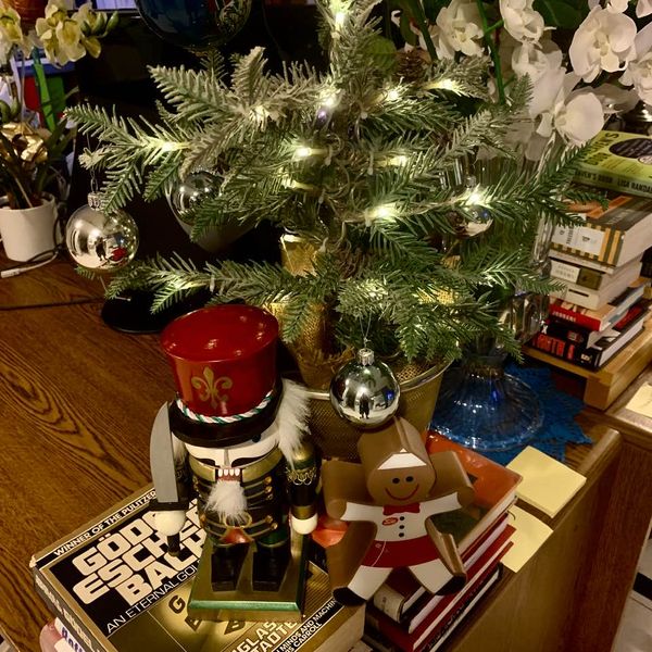 My minimalist Christmas decorations for this year: A small tree atop a stack of books! 
