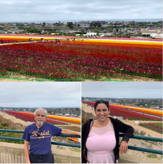 This afternoon at Carlsbad Flower Field