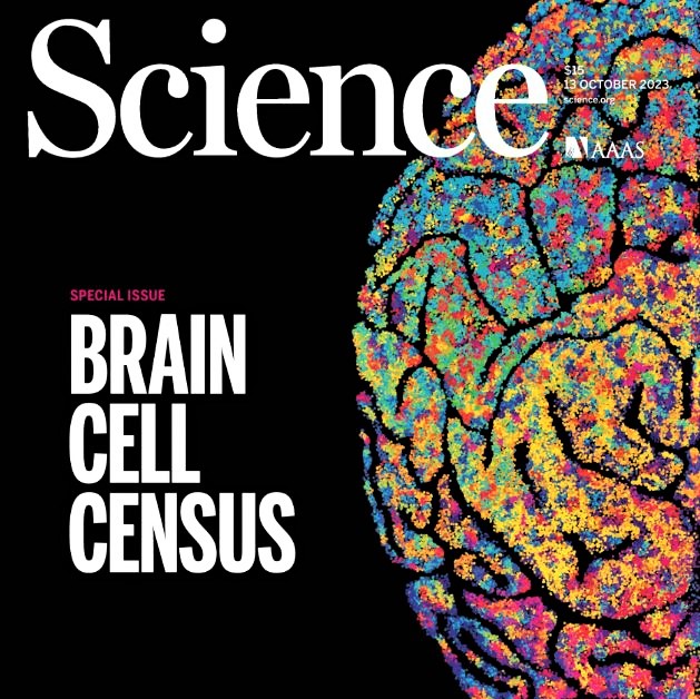 Cover image of the October 13, 2023, special issue of Science magazine