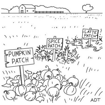 Cartoon: Pumpkin patch. Spice patch. Latte patch.