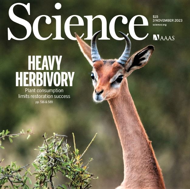 Science magazine's cover feature on herbivores hampering restoration in degraded ecosystems