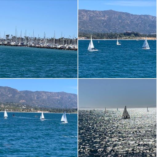 Photos I took atop Santa Barbara's Stearns Wharf today: The windy day brought out many sailboats