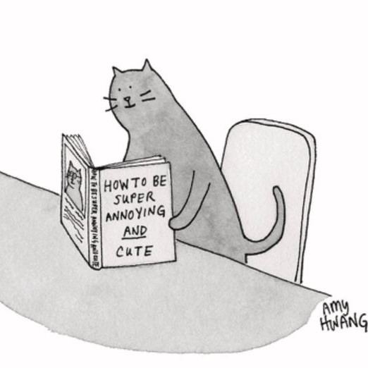 Cat owners and their hostage partners will appreciate this cartoon!