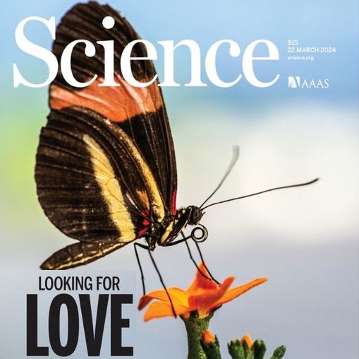 A genetic cause of male mate preference: Cover feature of Science magazine