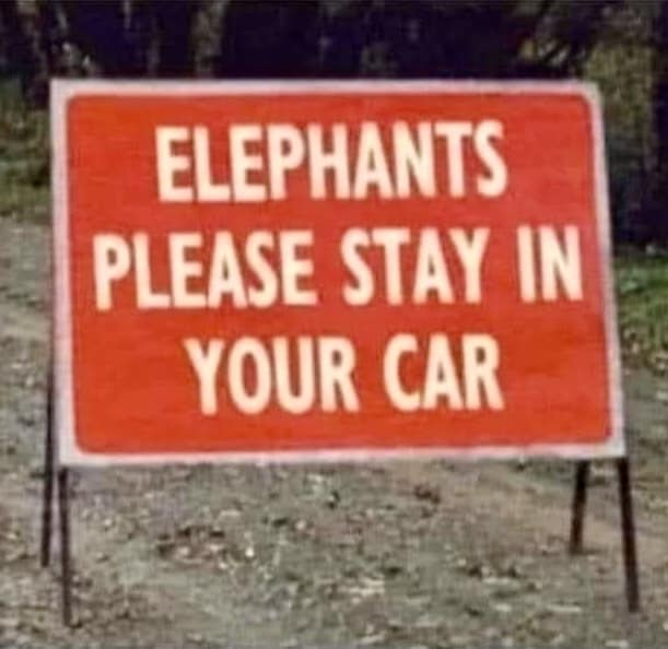 Language humor: Where is this place where elephants drive?